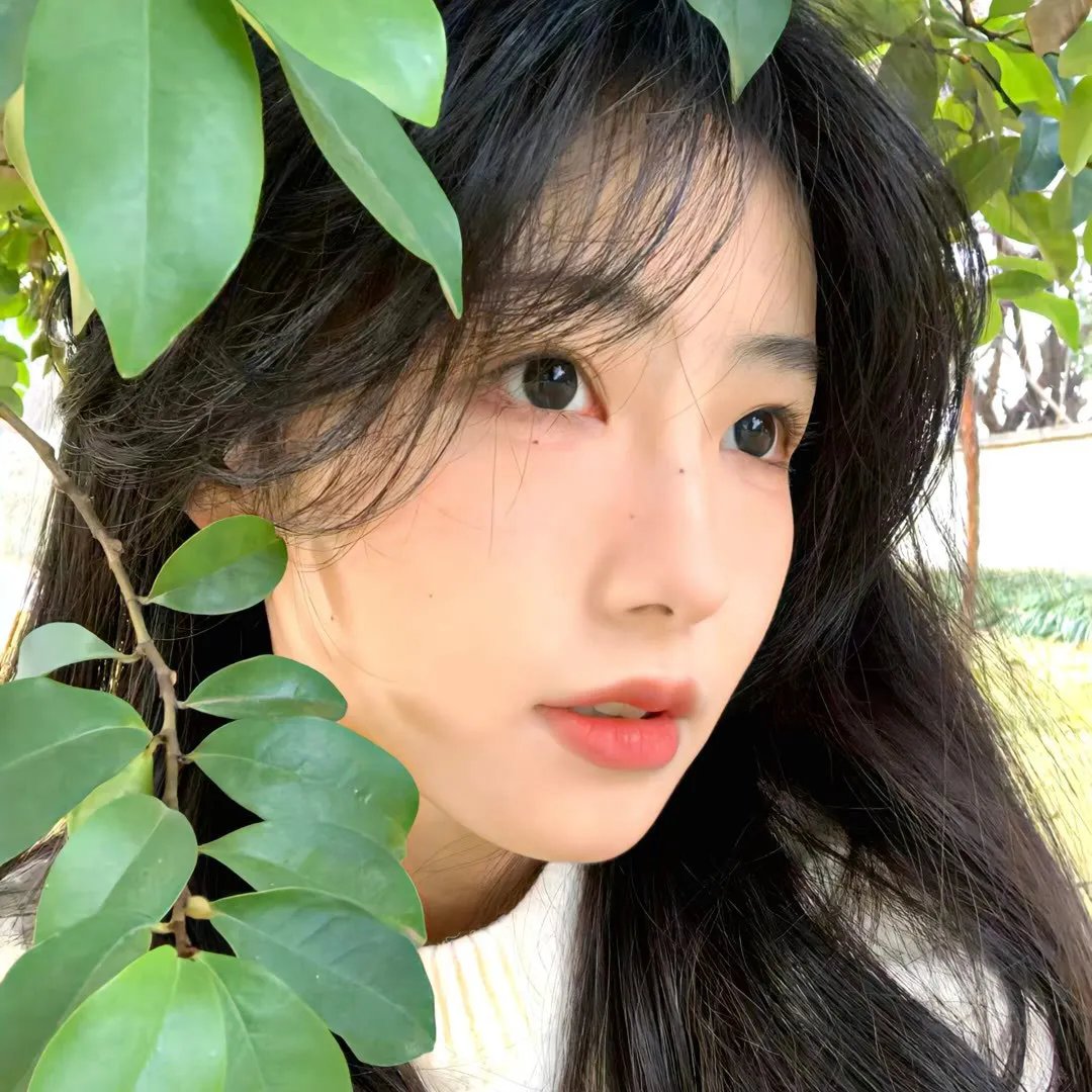 嘉庆皇帝